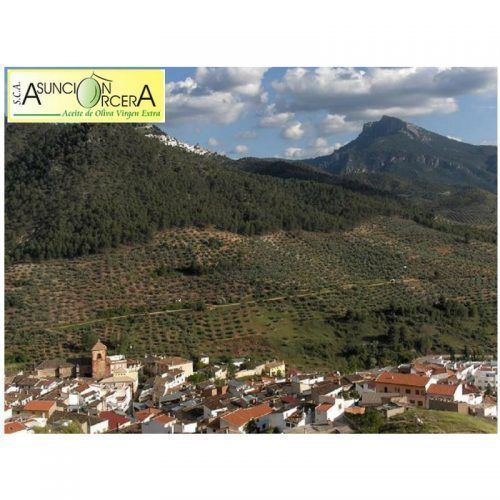 asuncion de segura